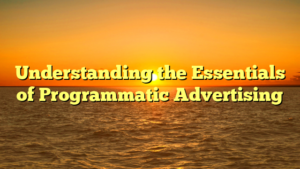 Understanding the Essentials of Programmatic Advertising